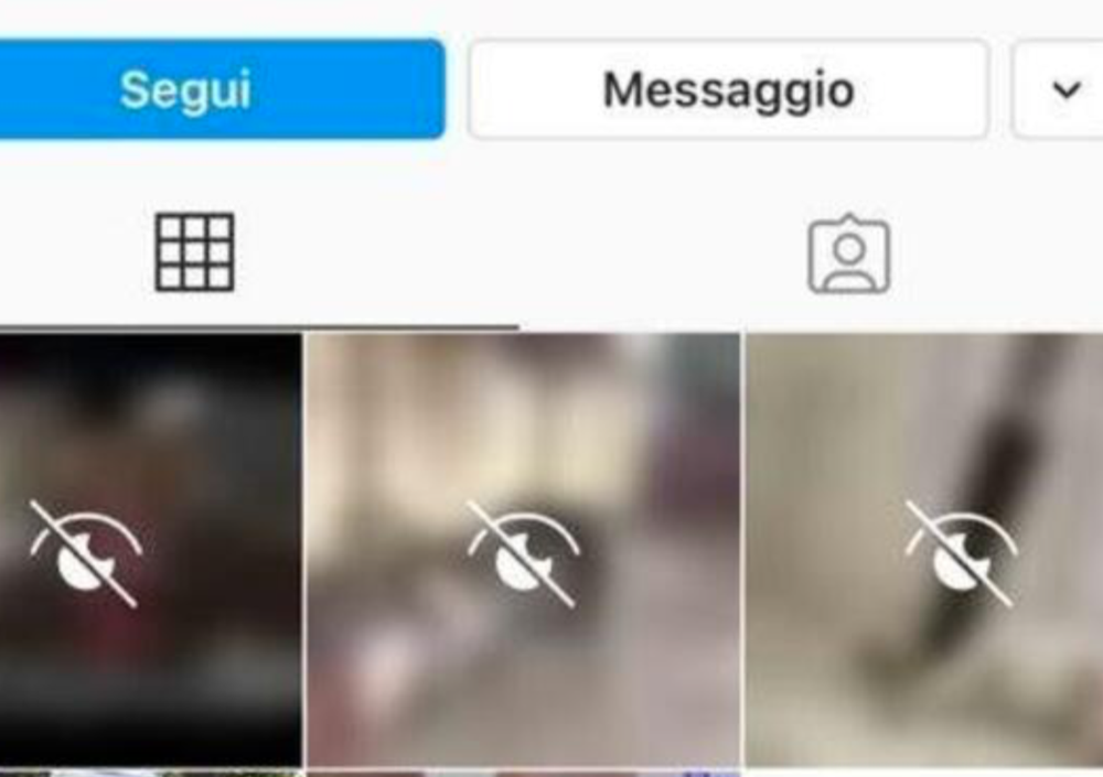 Torture sugli animali in diretta social. Ecco dove si &quot;addestrano&quot; alla violenza i giovanissimi