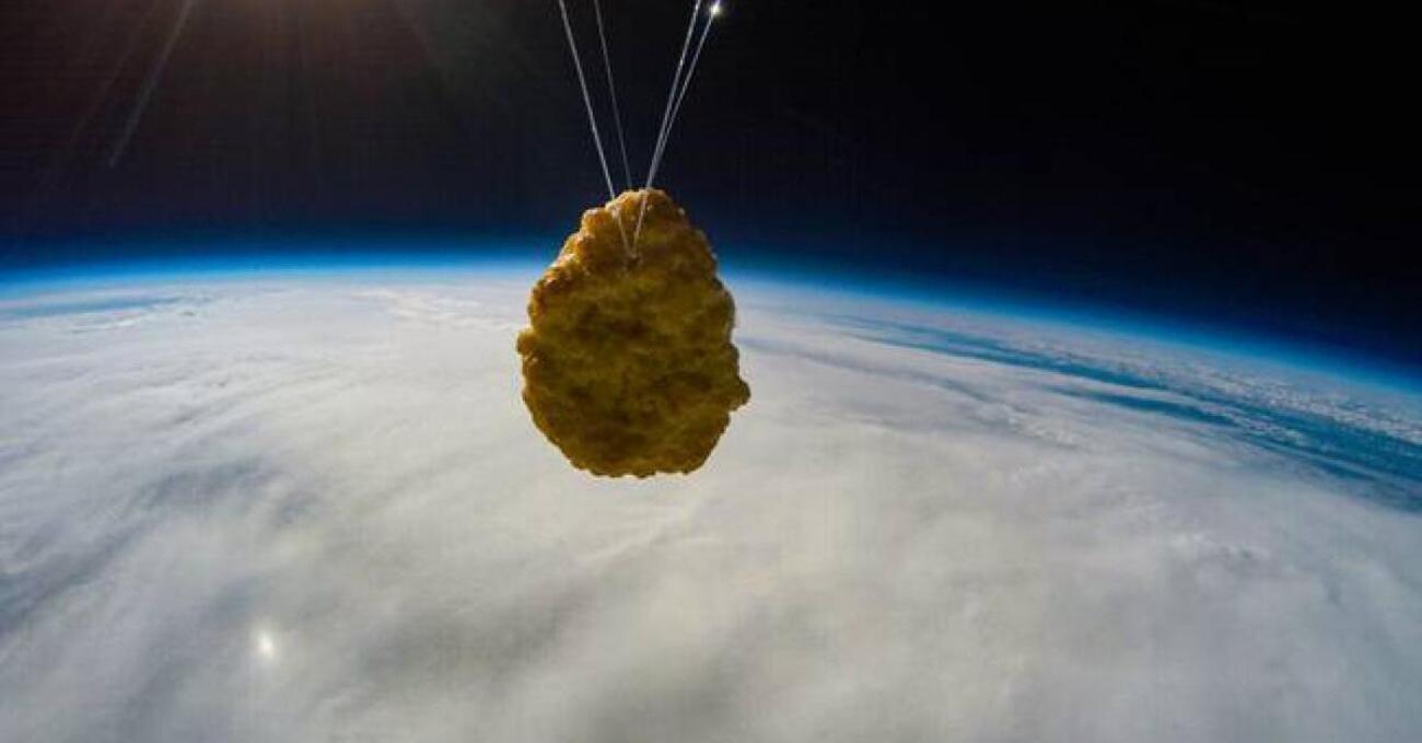 Una crocchetta di pollo &egrave; stata lanciata nello spazio