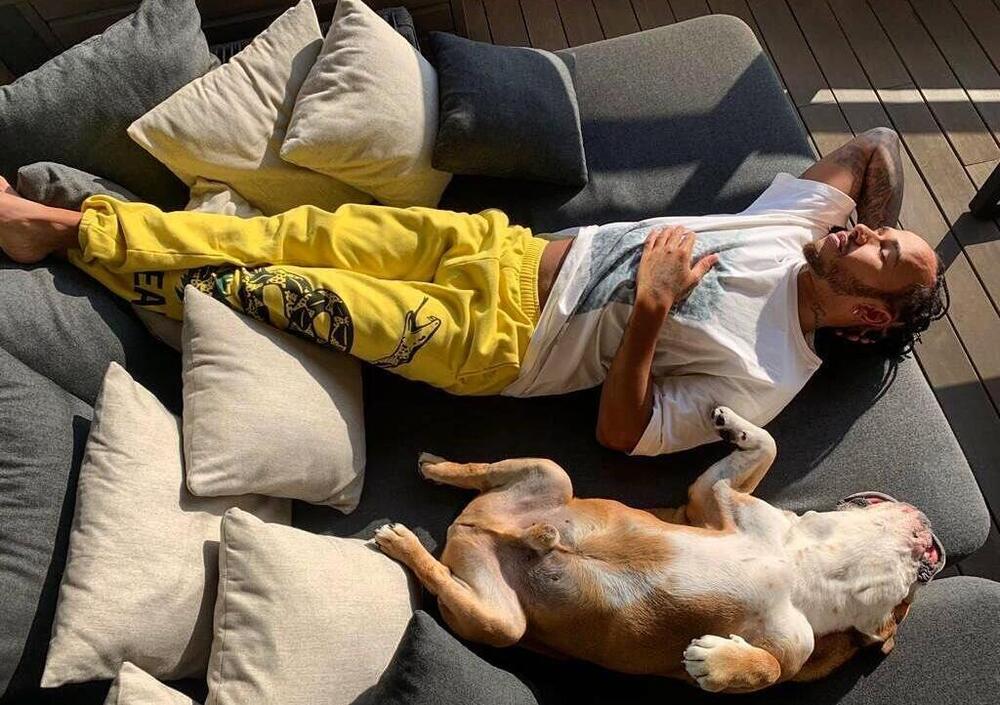 Pensavamo di aver visto tutto, ma ci mancava Lewis Hamilton che condivide un hamburger (vegano) con il cane