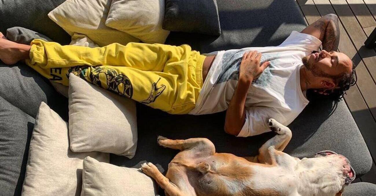 Pensavamo di aver visto tutto, ma ci mancava Lewis Hamilton che condivide un hamburger (vegano) con il cane