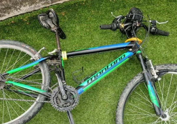 Incidente choc per un tredicenne: travolto da due cinghiali mentre andava a scuola in bici