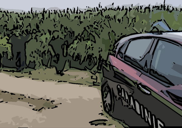 Trovate morte in un campo, giovane bracciante indagato per omicidio colposo