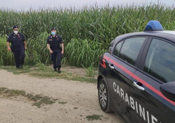 Trovate morte in un campo, giovane bracciante indagato per omicidio colposo