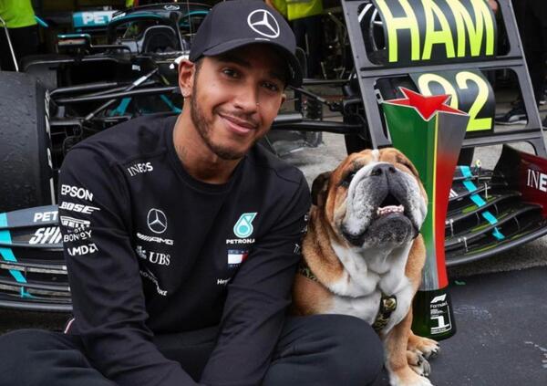 La gaffe assurda di Hamilton: scambia il suo cane con George Russell