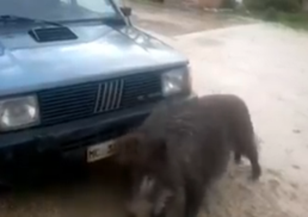 Il Pandino 4x4? Inarrestabile e pure irresistibile! Ecco il video che lo dimostra