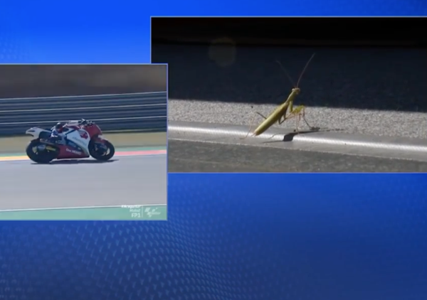 Sky durante le prove libere intervista in esclusiva una mantide religiosa. Boselli e Triolo danno spettacolo [VIDEO]