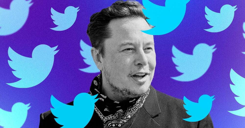 Musk diventa primo azionista anche dell&rsquo;odiato Twitter. Il Ceo: &ldquo;Ci critica, ma&hellip;&rdquo; Ora arriver&agrave; il tasto edit?