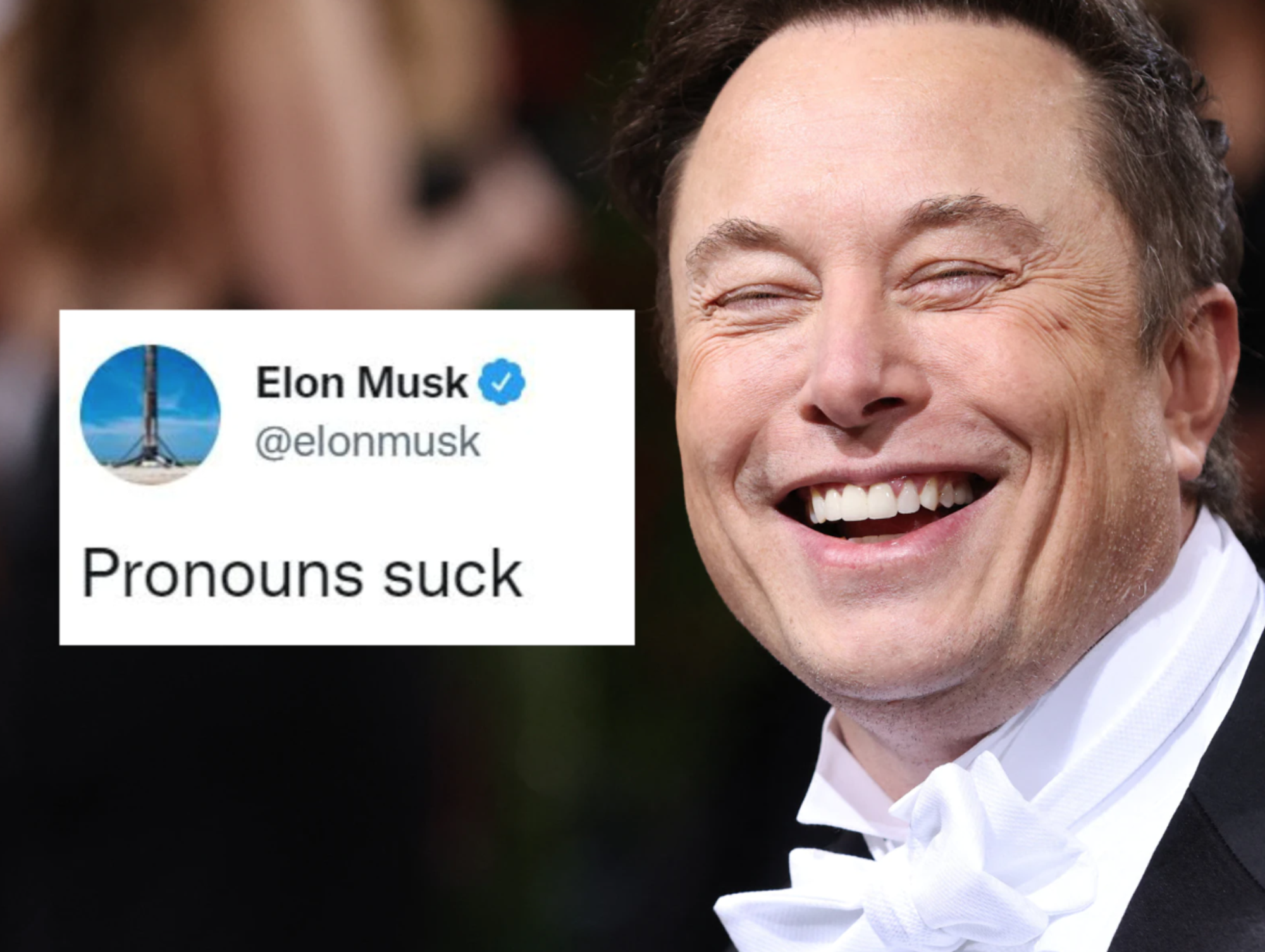 Tweet di Musk sui &quot;pronomi che fanno schifo&quot;