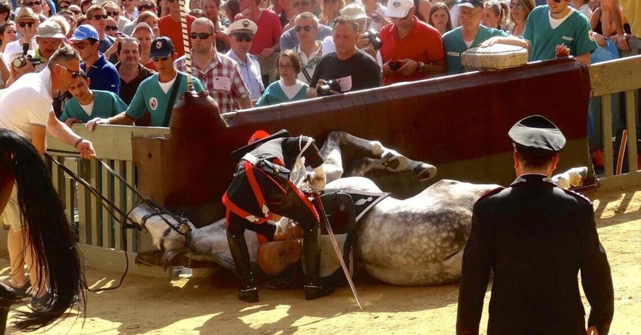 Palio di Siena, Isabella Santacroce: &ldquo;Gli esseri umani sono inconsapevoli di quanto ogni martirio compiuto su di noi ricada&rdquo;. Il report dei cavalli morti negli ultimi 30 anni