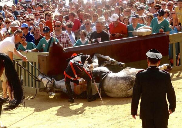 Palio di Siena, Isabella Santacroce: &ldquo;Gli esseri umani sono inconsapevoli di quanto ogni martirio compiuto su di noi ricada&rdquo;. Il report dei cavalli morti negli ultimi 30 anni