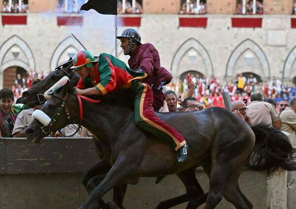 Chi critica il Palio di Siena non ha capito due cose semplici. Le basi, proprio