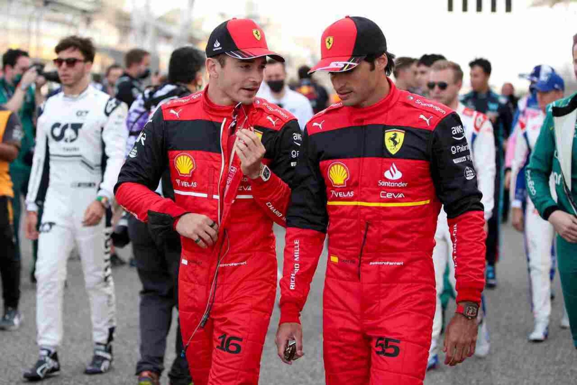 Charles Leclerc e Carlos Sainz