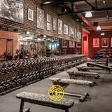 Arriva a Milano la seconda palestra del brand Gold’s Gym: gruppo leader globale nel settore del fitness all’insegna della sostenibilità     5