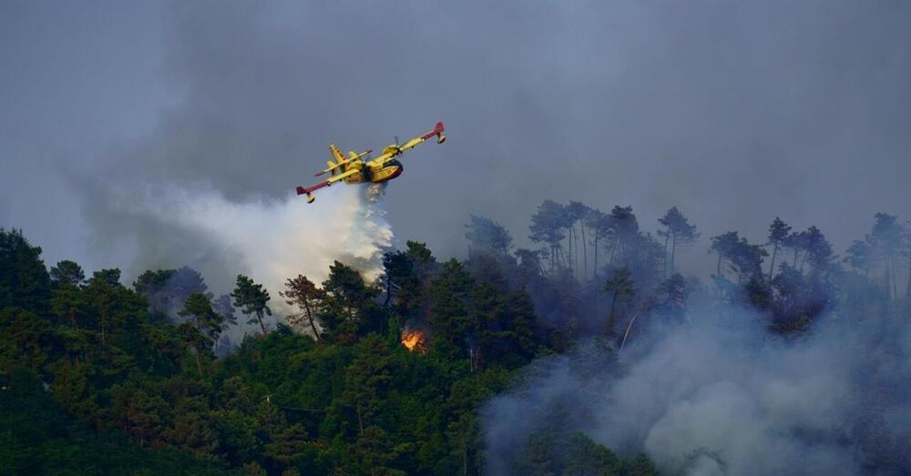 Ma quale caldo, gli incendi in Italia sono dolosi! E all&#039;estero non va meglio... [VIDEO]