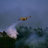 Ma quale caldo, gli incendi in Italia sono tutti dolosi. E non solo in Italia... [VIDEO] 4