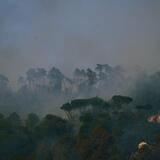 Ma quale caldo, gli incendi in Italia sono tutti dolosi. E non solo in Italia... [VIDEO] 2