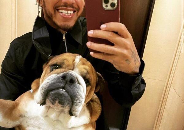 [VIDEO] Hamilton spiega la dieta del suo cane vegano: &quot;La sua vita &egrave; cambiata&quot;