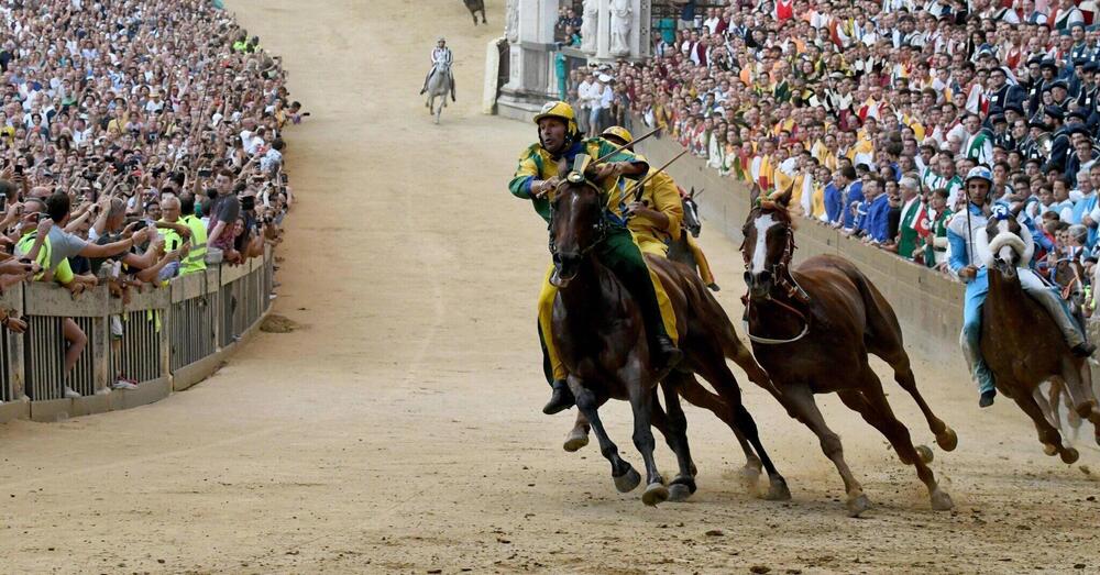 Voglio rinascere cavallo per vincere il Palio di Siena