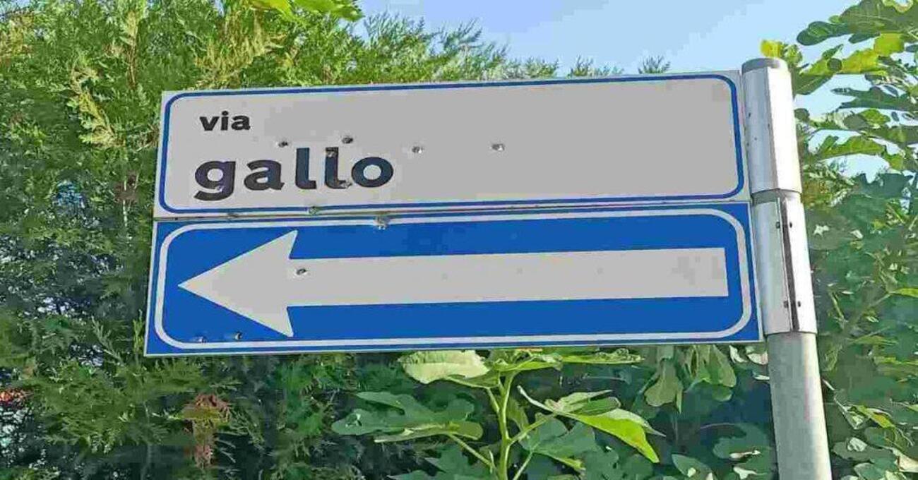 Spari per divertimento contro cartelli stradali: grave bimbo di due anni