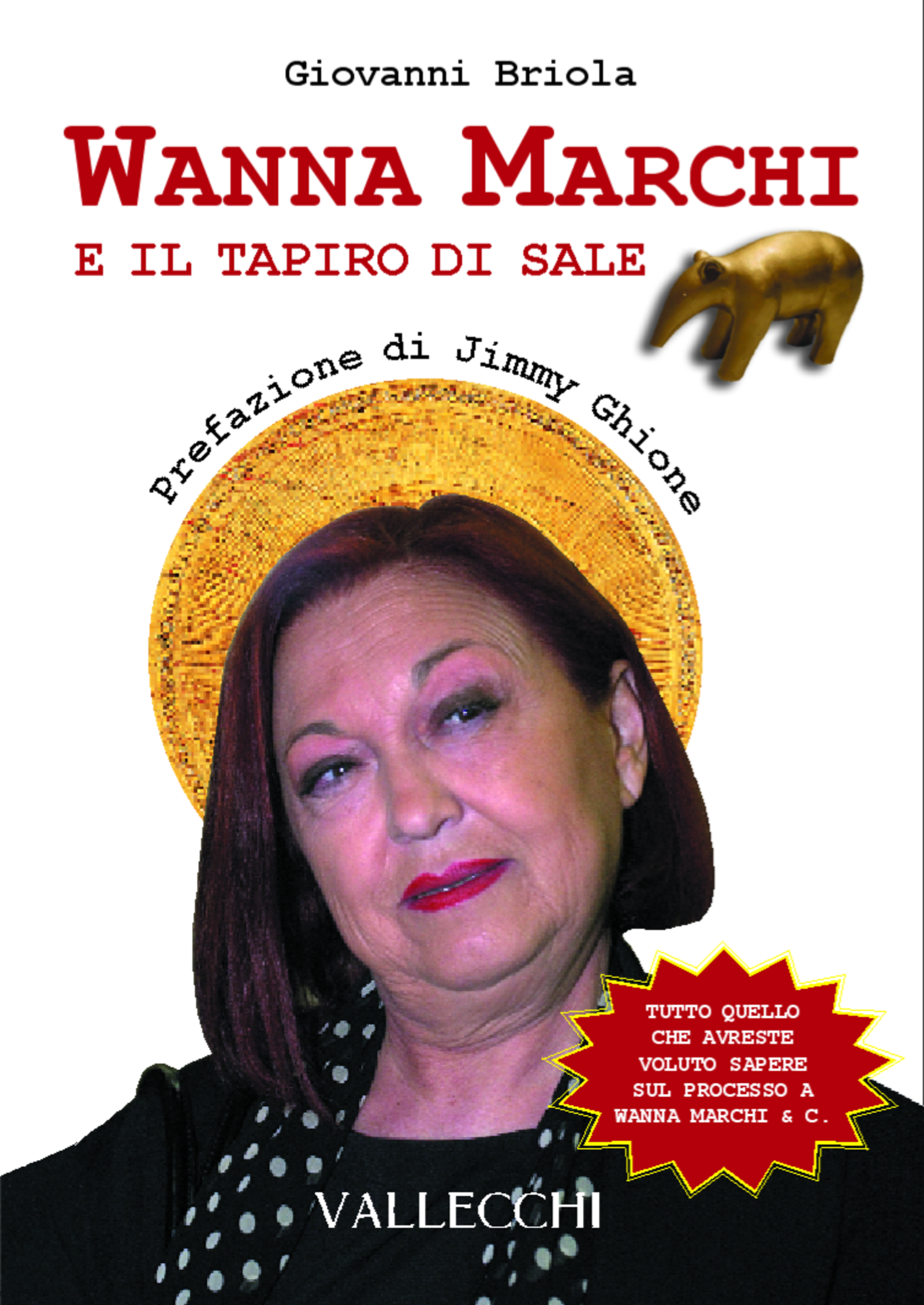 20220920 102019213 4029Il libro di Giovanni Briola sul processo a Wanna Marchi