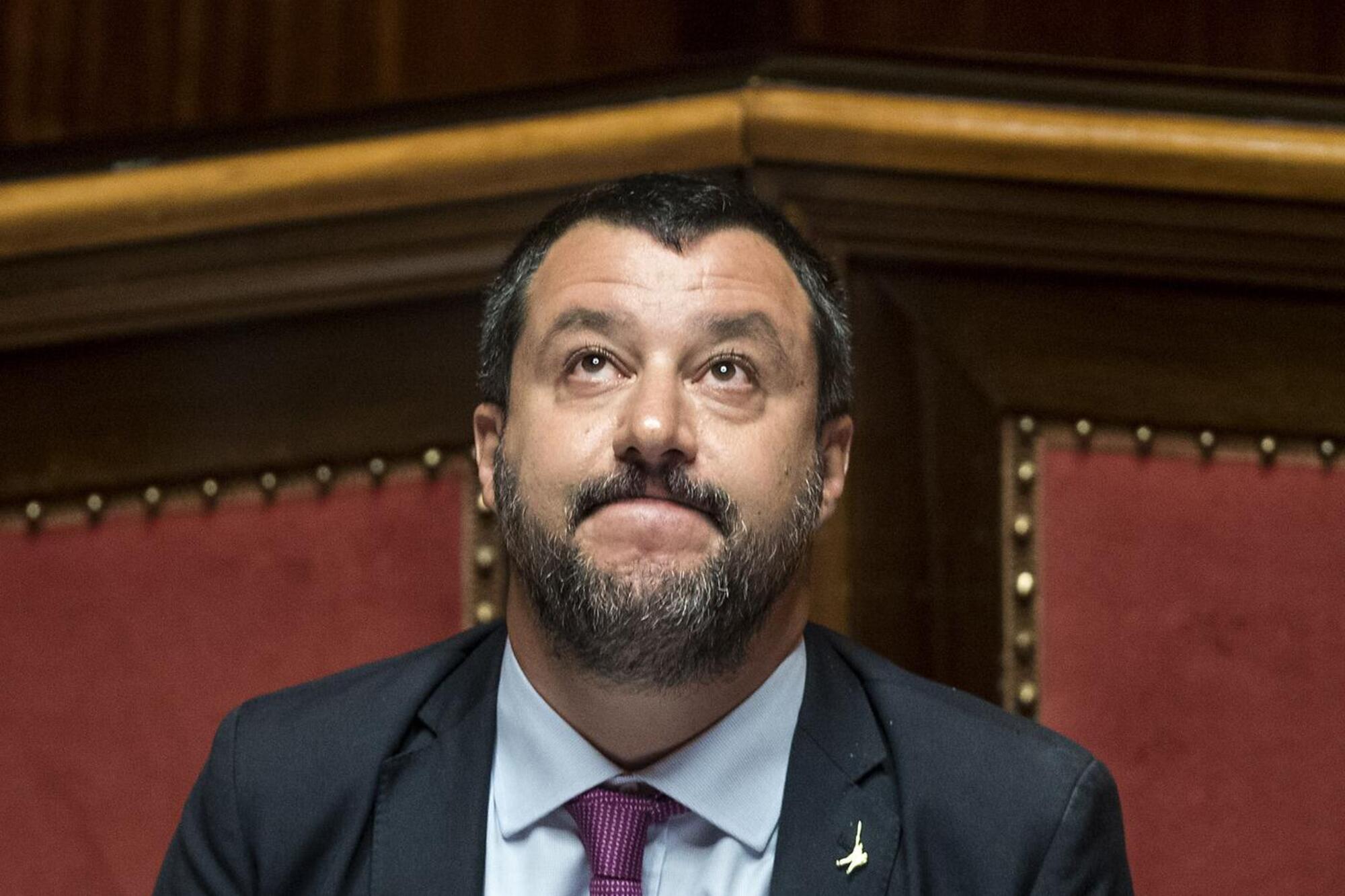 salvini