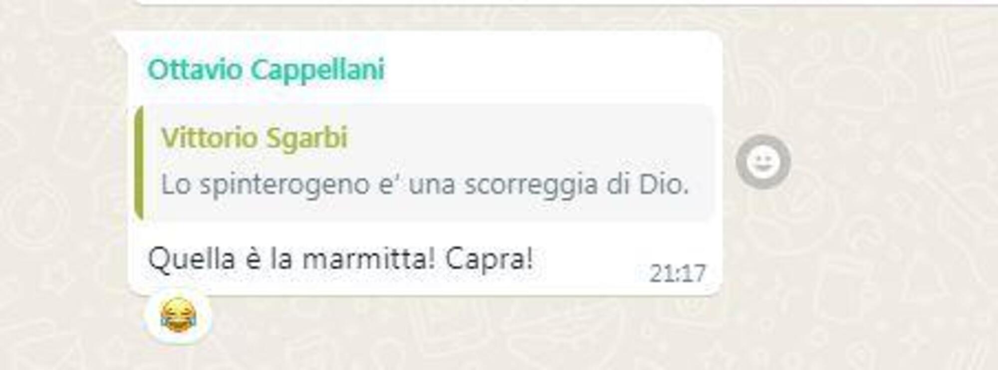 L&#039;incursione di Ottavio Cappellani nella chat Rinascimento e Dissoluzione di Sgarbi e Morgan