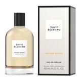 David Beckham 2