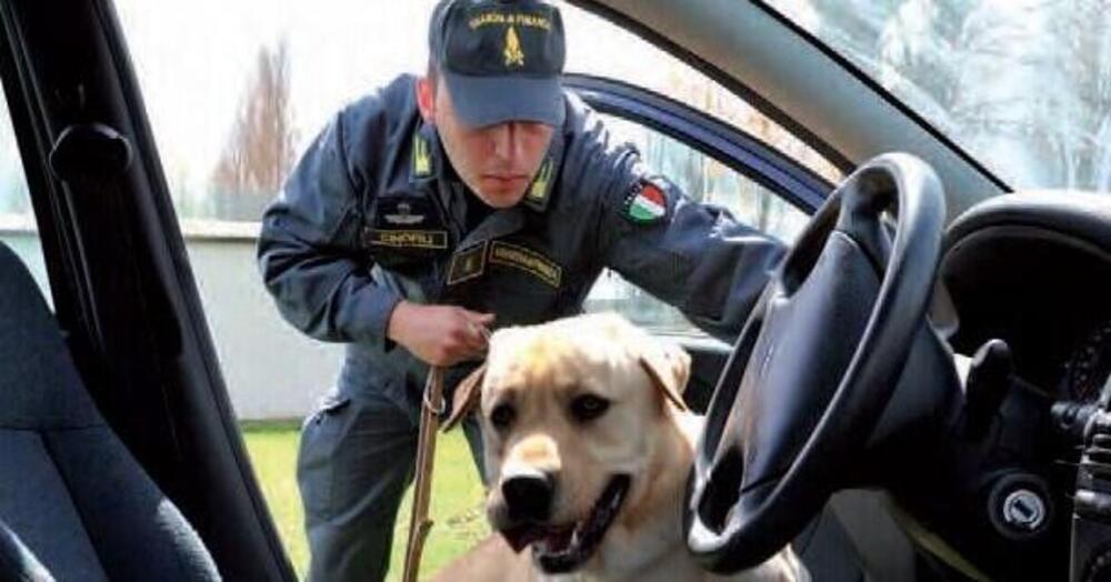 In un&#039;auto abbandonata trovato un tesoro... stupefacente: ecco quanto avrebbe fruttato