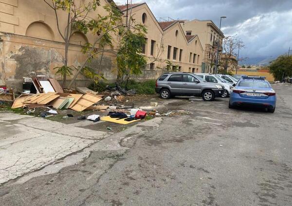 Trovato in auto mentre mangia un gatto: l&#039;orrore scoperto dalla polizia