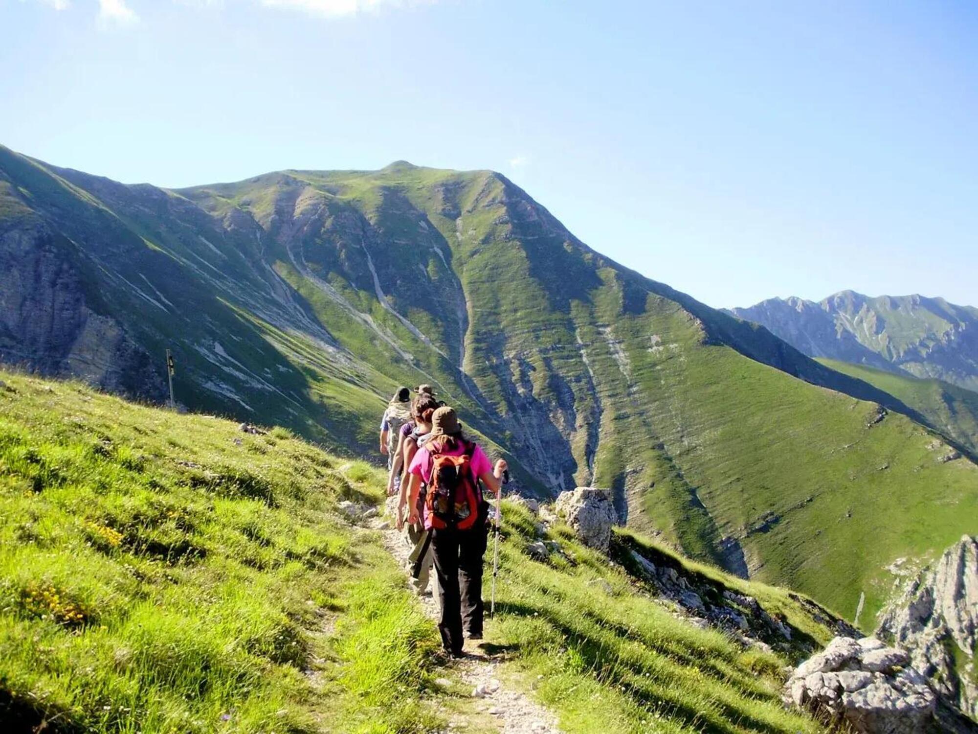 Le passeggiate in montagna sono perfette grazie alla varietà dei sentieri
