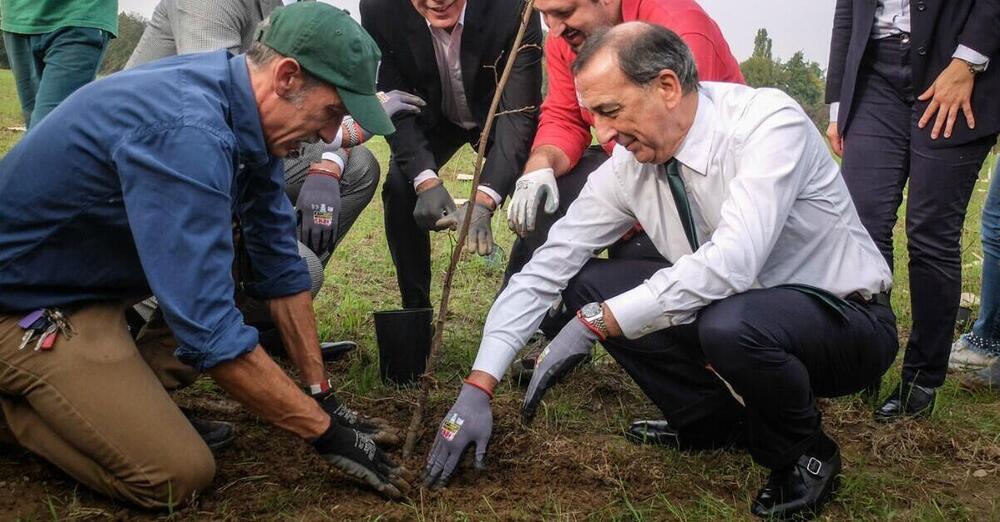 Il bando sugli alberi andato deserto a Milano? Niente complotti: ecco perch&eacute; &egrave; fallito ForestaMi