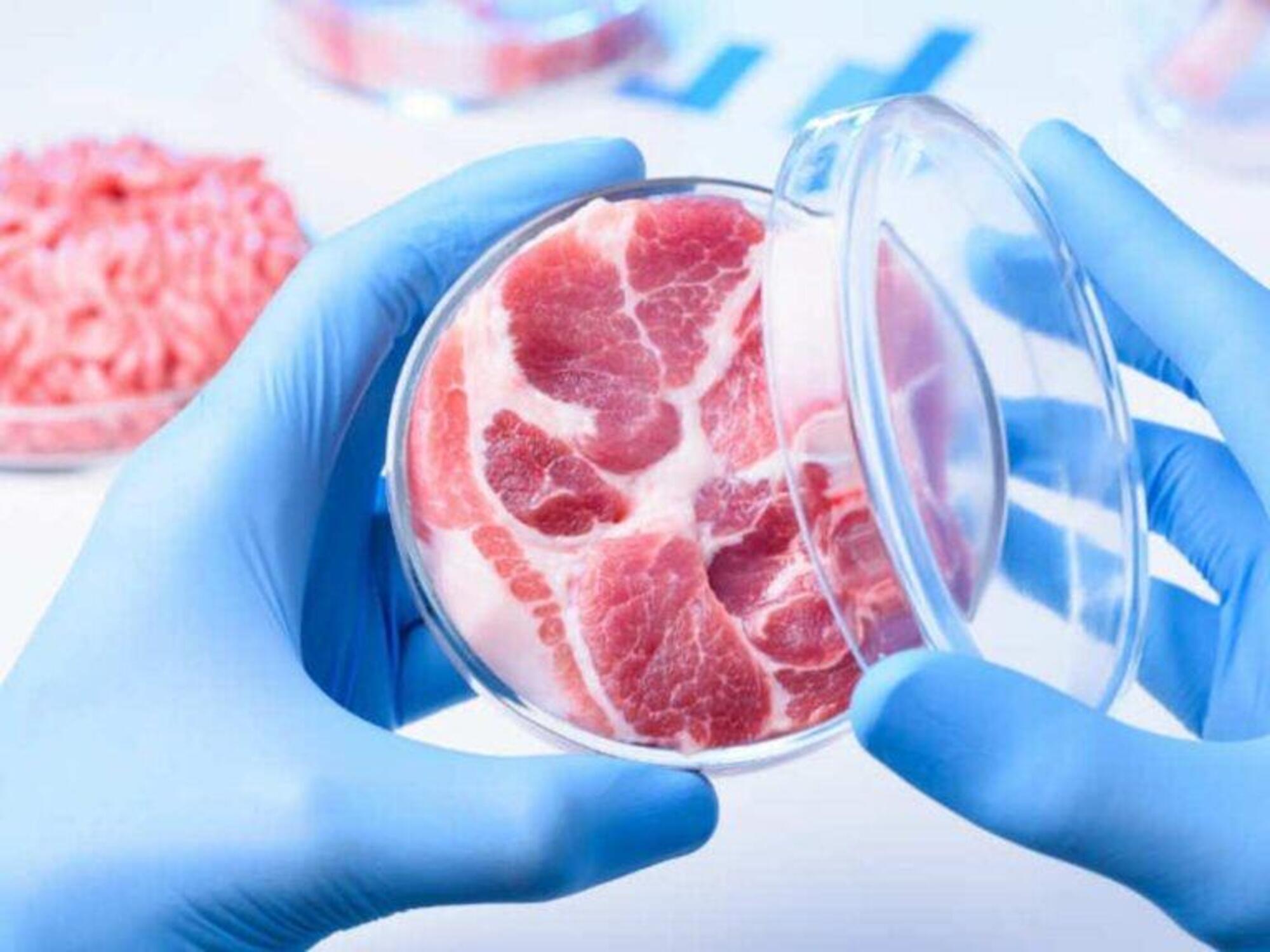 Carne coltivata