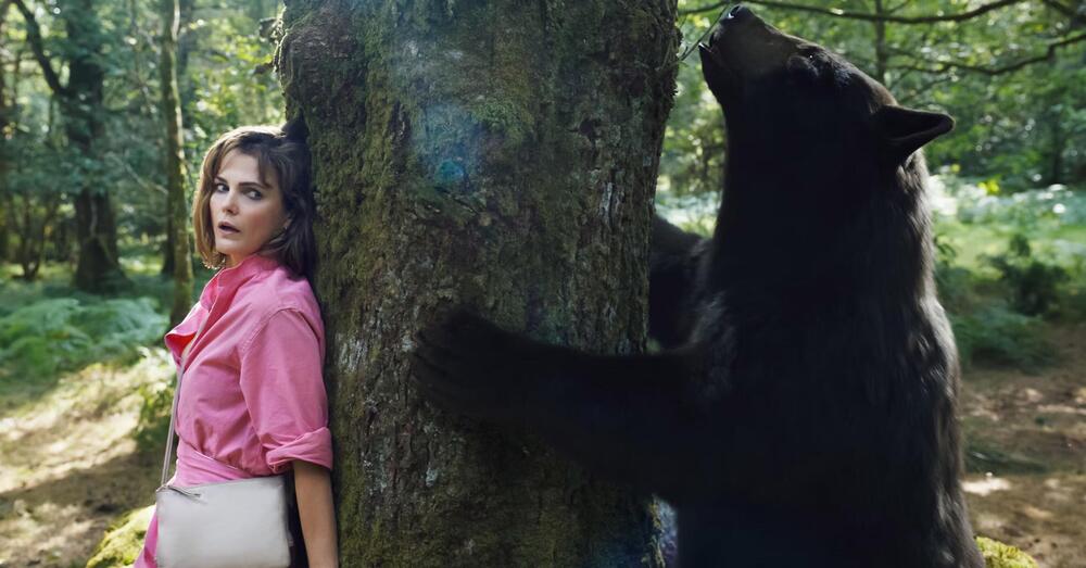 Esce Cocainorso, film su un orso killer. Proprio ora? Era davvero il caso?