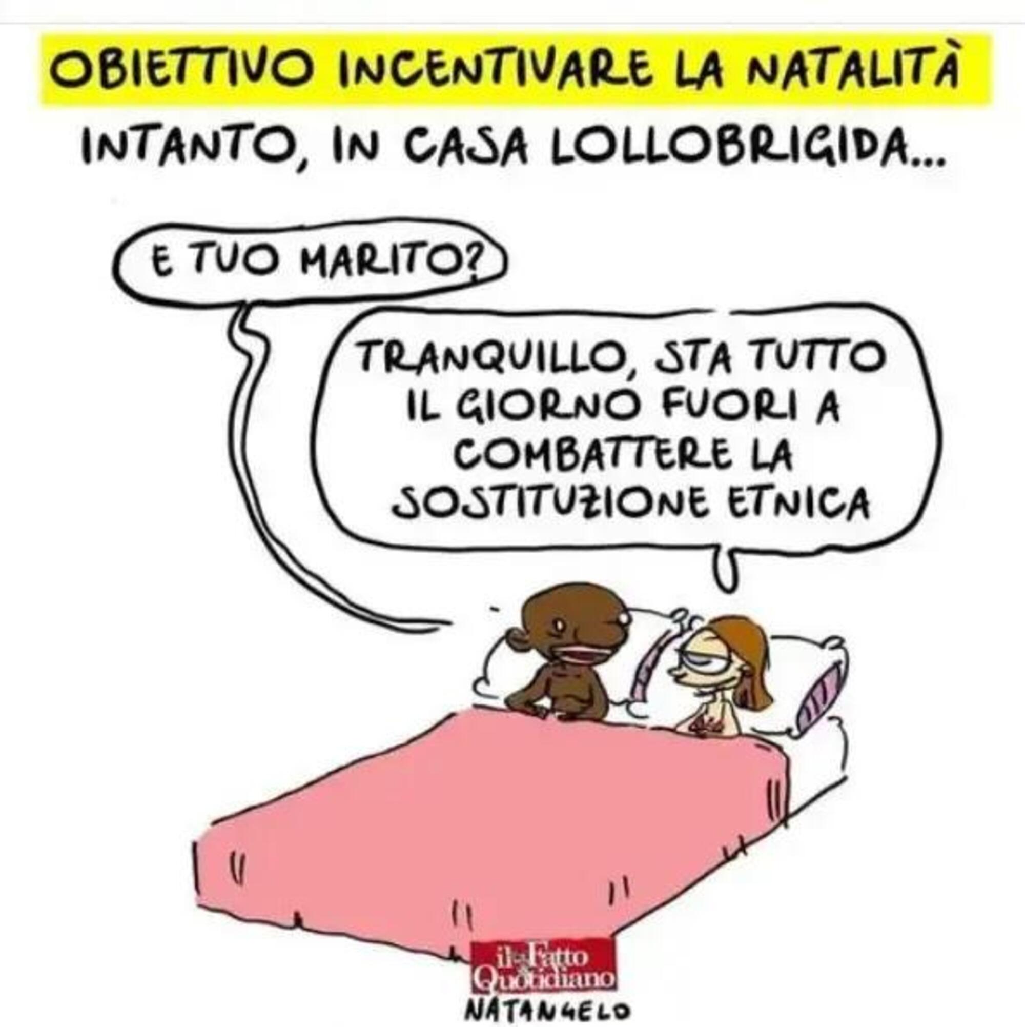 La vignetta incriminata di Natangelo