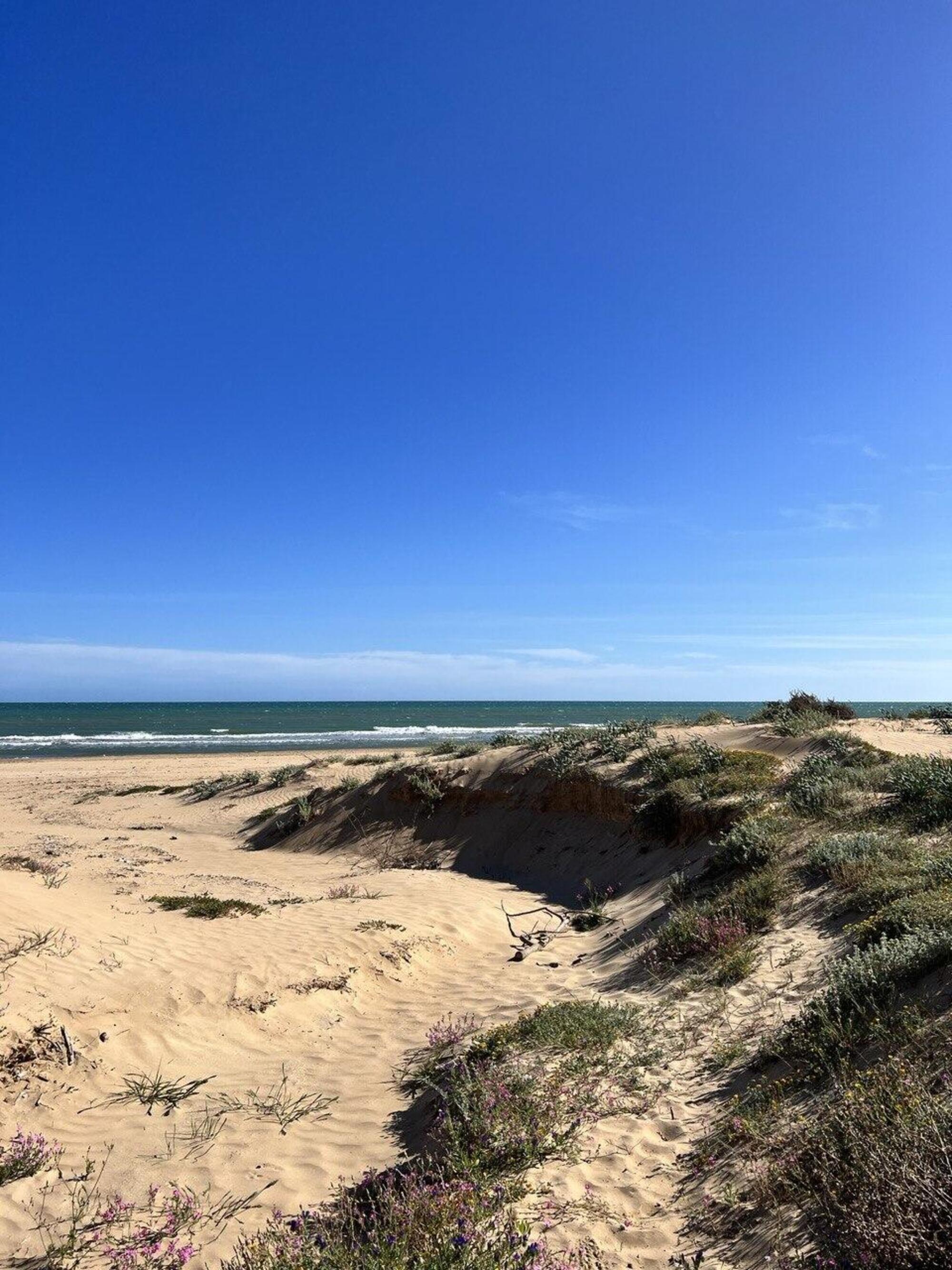 Il mare di Tre Fontane