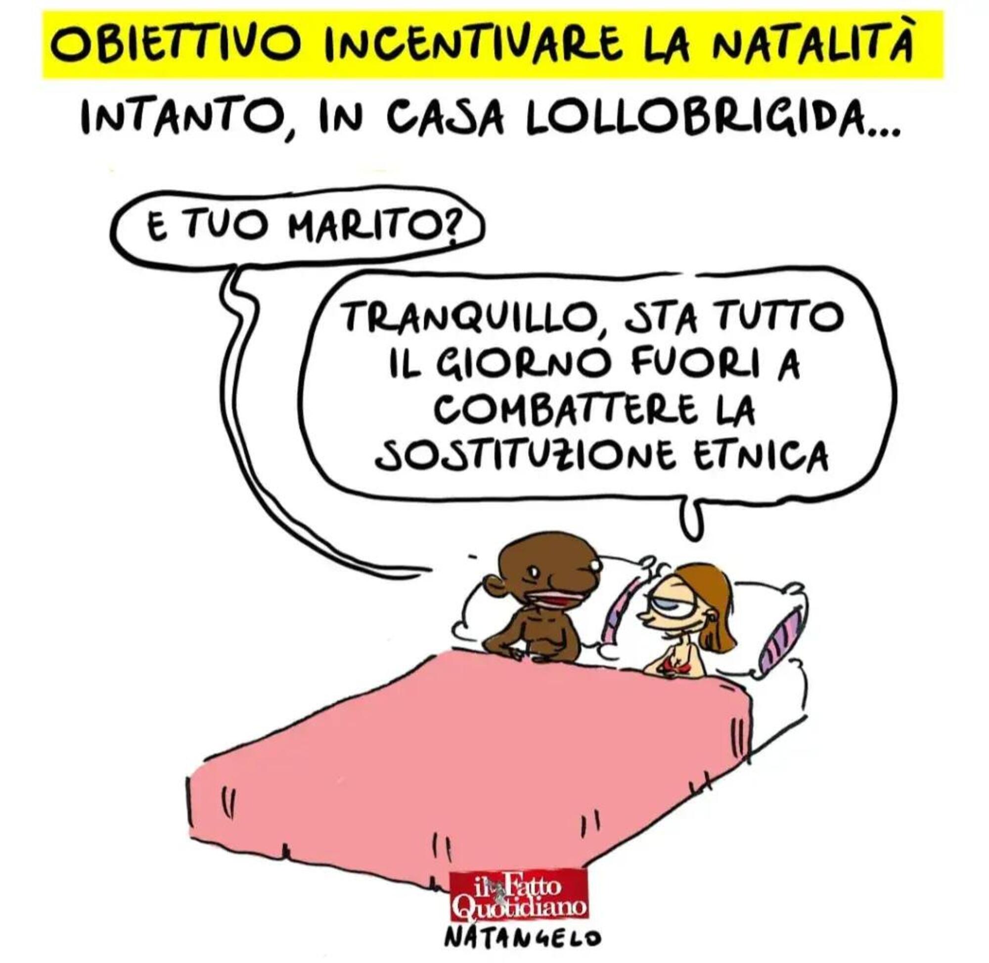 La vignetta sotto accusa