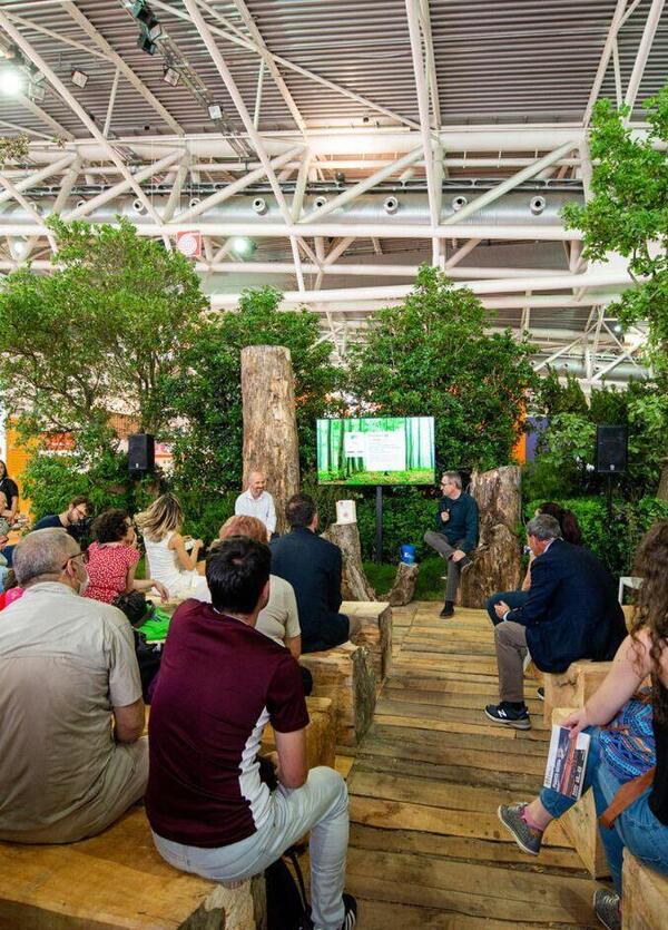 Ecco gli stand pi&ugrave; belli al Salone del Libro di Torino, dal bosco di Aboca alle migliori proposte di titoli