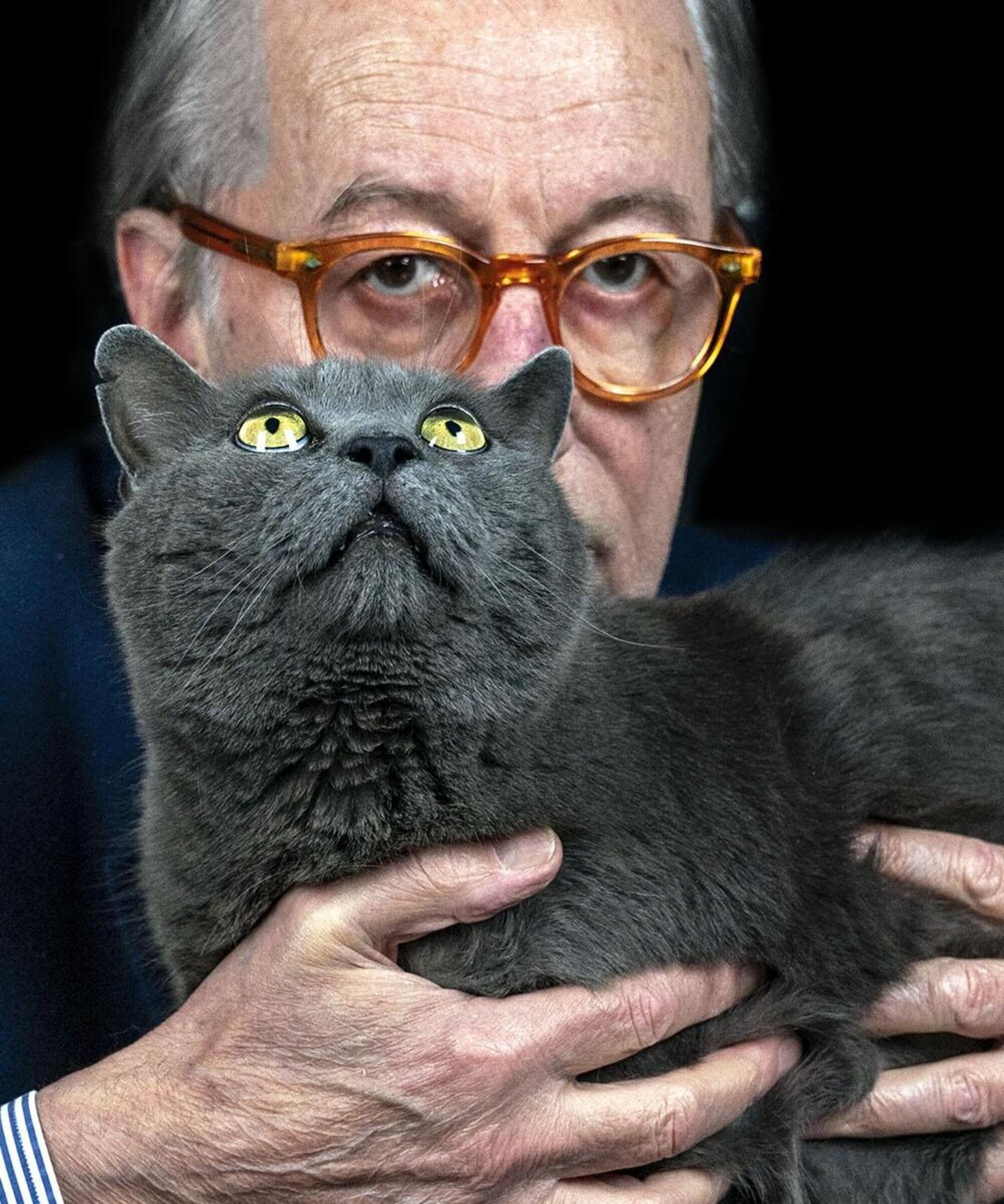 vittorio feltri gatto