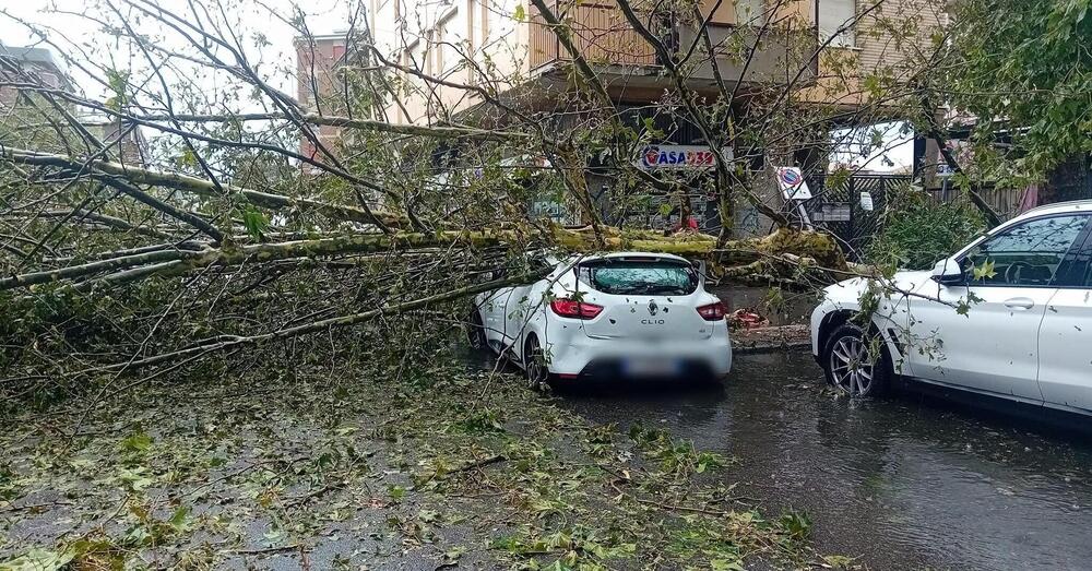 Grandine e alberi caduti sulle auto, morti e feriti: il maltempo devasta il Nord Italia