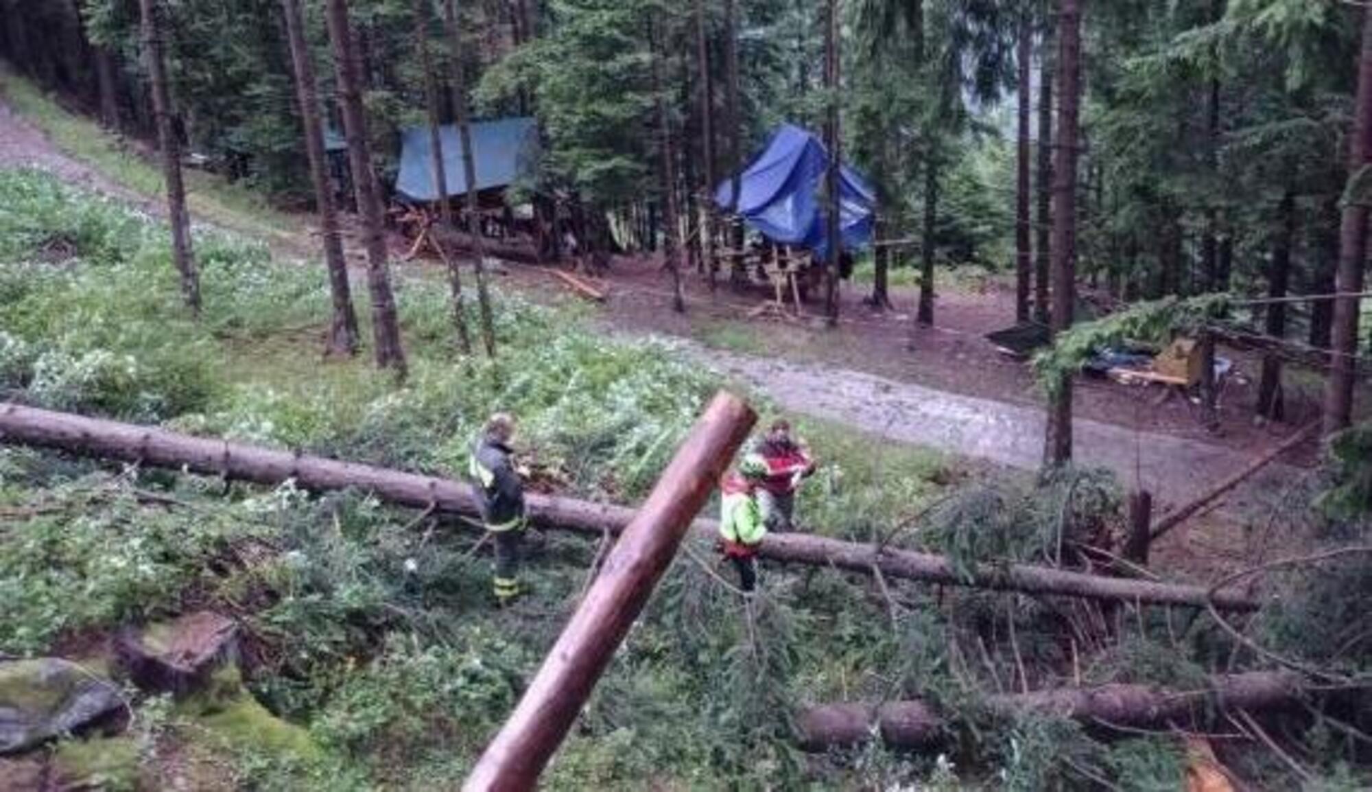 Il bosco dove &egrave; morta Chiara