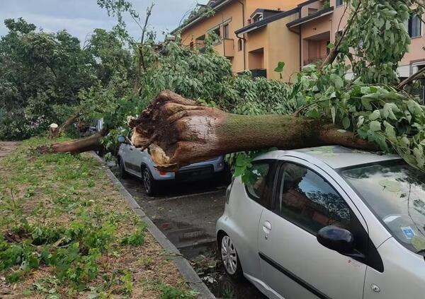 Antonio San&ograve;, il fondatore de Ilmeteo.it, contro i negazionisti del clima: &ldquo;Minimizzano? Ecco come saremo ridotti tra qualche anno...&rdquo;