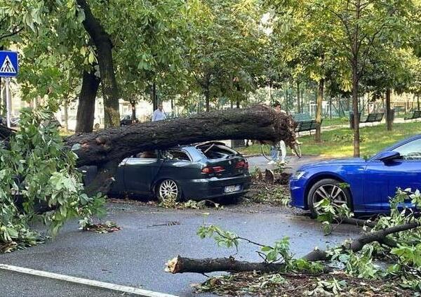 Cos&rsquo;&egrave; l&rsquo;effetto &ldquo;canyon&rdquo; con vento a 118 km/h che ha accartocciato le auto a Milano?