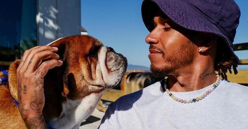 S&igrave;, il cane di Lewis Hamilton sar&agrave; davvero nel film sulla Formula 1 con Brad Pitt 