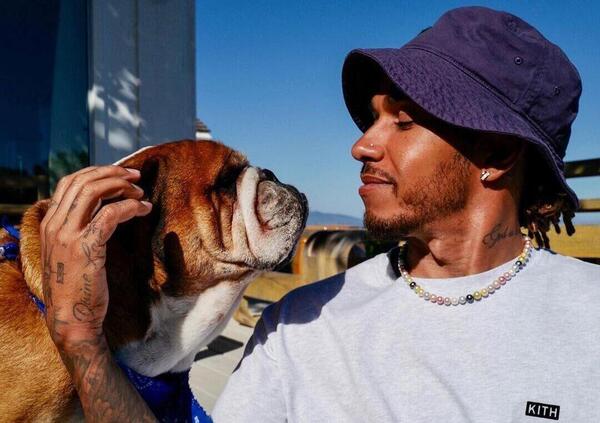 S&igrave;, il cane di Lewis Hamilton sar&agrave; davvero nel film sulla Formula 1 con Brad Pitt 