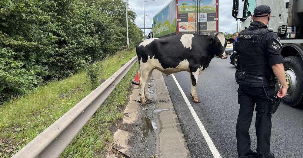 Perch&eacute; l&rsquo;Albania vi entrer&agrave; nel cuore: tra autostrade gratis, auto a olio di colza, prezzi bassi (ma cibo abbondante) e paesaggi mozzafiato 