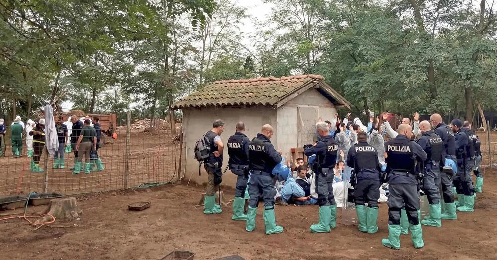 Maiali uccisi &ldquo;per precauzione&rdquo;: a quando le irruzioni in casa per ammazzare cani e gatti a rischio malattia? E anche Joaquin Phoenix reagisce