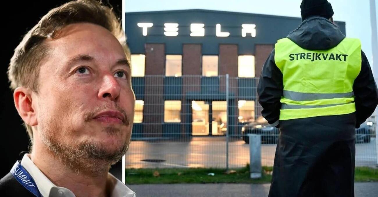 Musk va in guerra con gli Stati? Ecco a chi ha fatto causa Tesla e perch&eacute;. Europa a rischio?