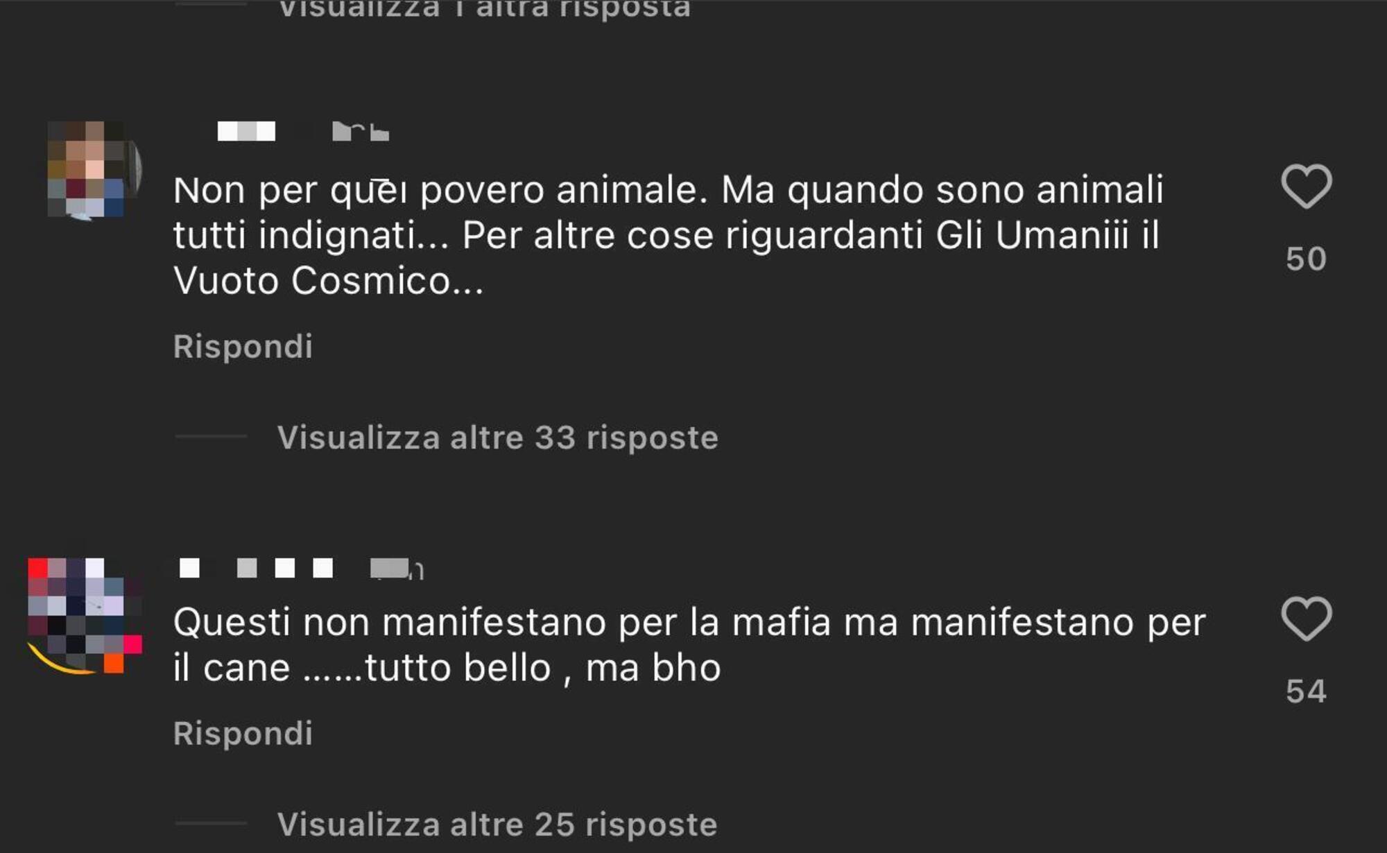 Commenti negativi sui partecipanti alla manifestazione per Aaron