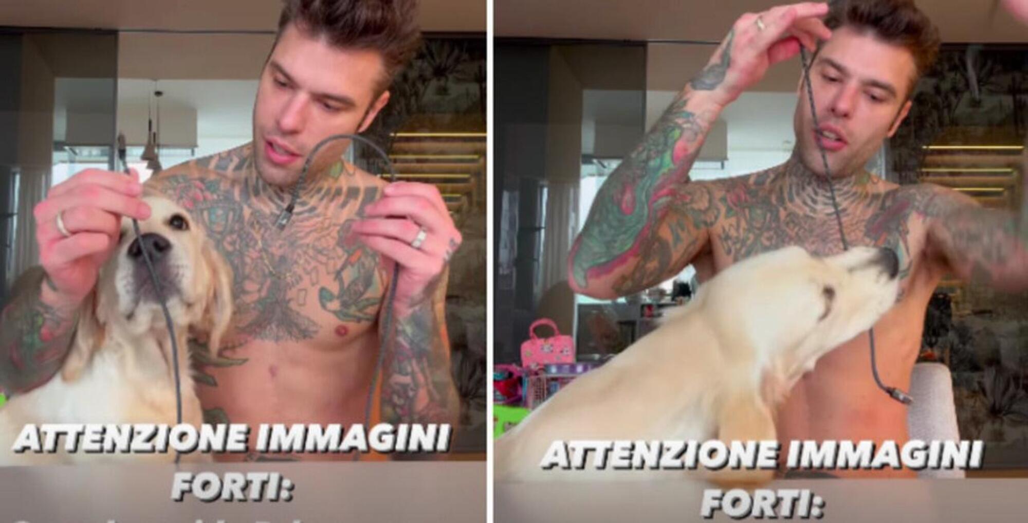 Fedez e il cane Paloma