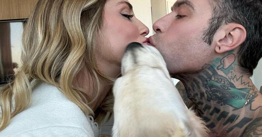 Chiara Ferragni lascia Fedez? Lo scoop di Striscia: cosa c&rsquo;entrano il cane Paloma e la coprolal&igrave;a